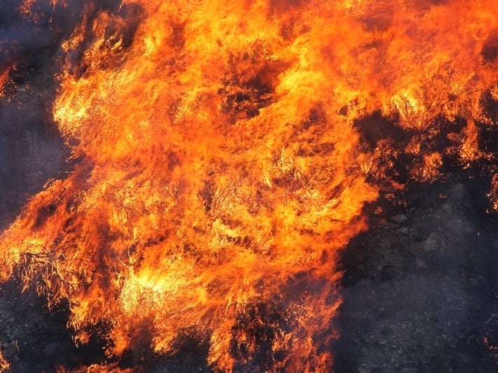 عکس| حوادث آمریکا؛ طوفان و برف سنگین در شرق و آتش سوزی مرگبار در غرب