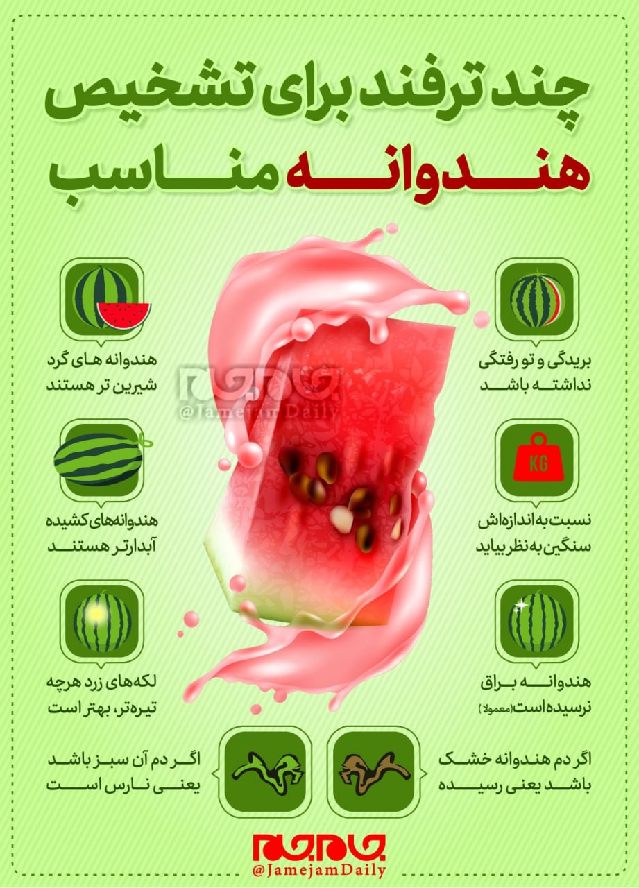 نحوه تشخیص و خرید هندوانه مناسب +اینفوگرافیک نحوه تشخیص و خرید هندوانه مناسب +اینفوگرافیک