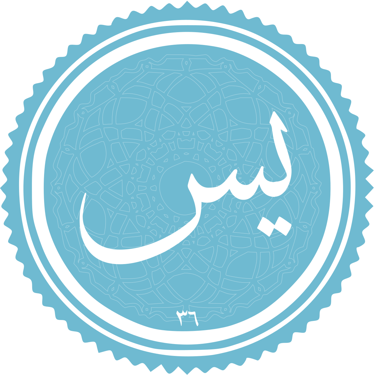فضیلت و برکات سوره یس