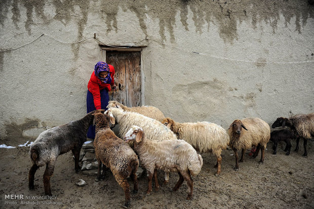 روستای دویدوخ جرگلان مرهم میخواهد +عکس روستای دویدوخ جرگلان مرهم میخواهد +عکس