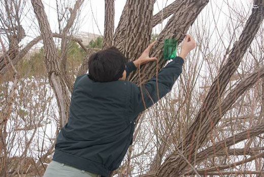 راه‌حلی ساده برای غذا دادن به پرندگان + تصاویر