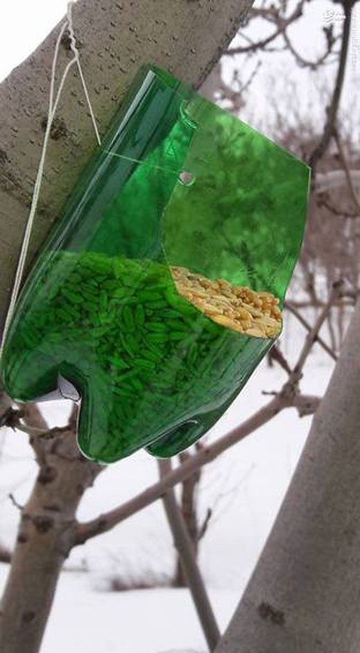 راه‌حلی ساده برای غذا دادن به پرندگان + تصاویر