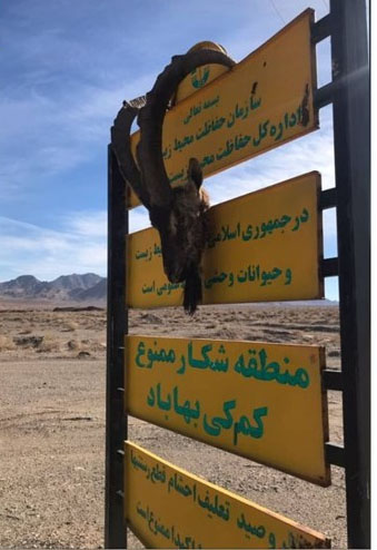 برای مهار تخلفات شکار از کانون وکلا کمک بگیرید برای مهار تخلفات شکار از کانون وکلا کمک بگیرید