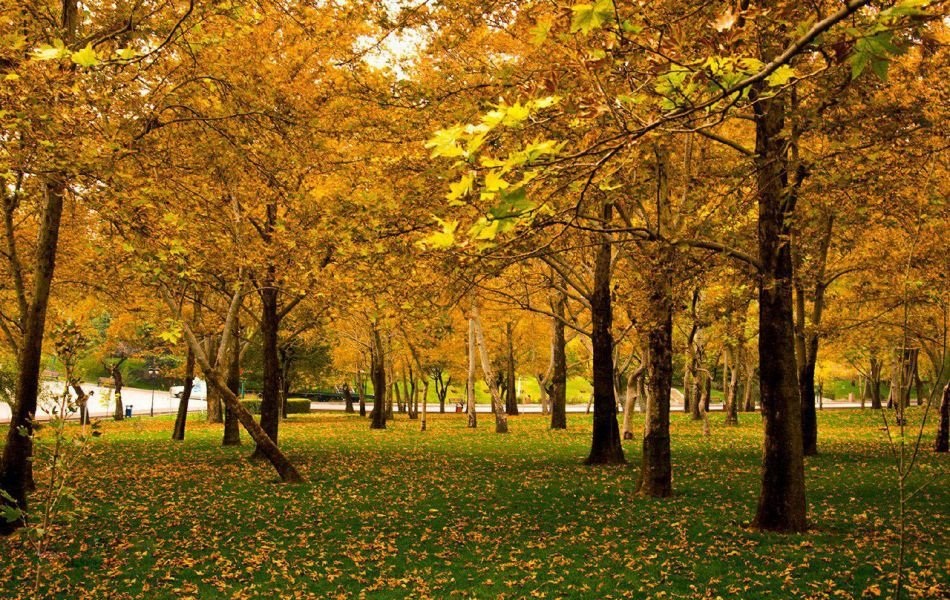 جاذبه های دیدنی تهران (1399) + عکس و آدرس