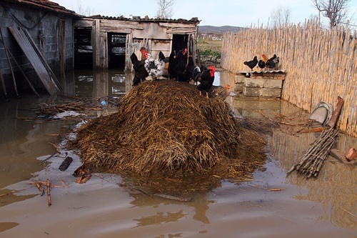 گزارش تصویری 