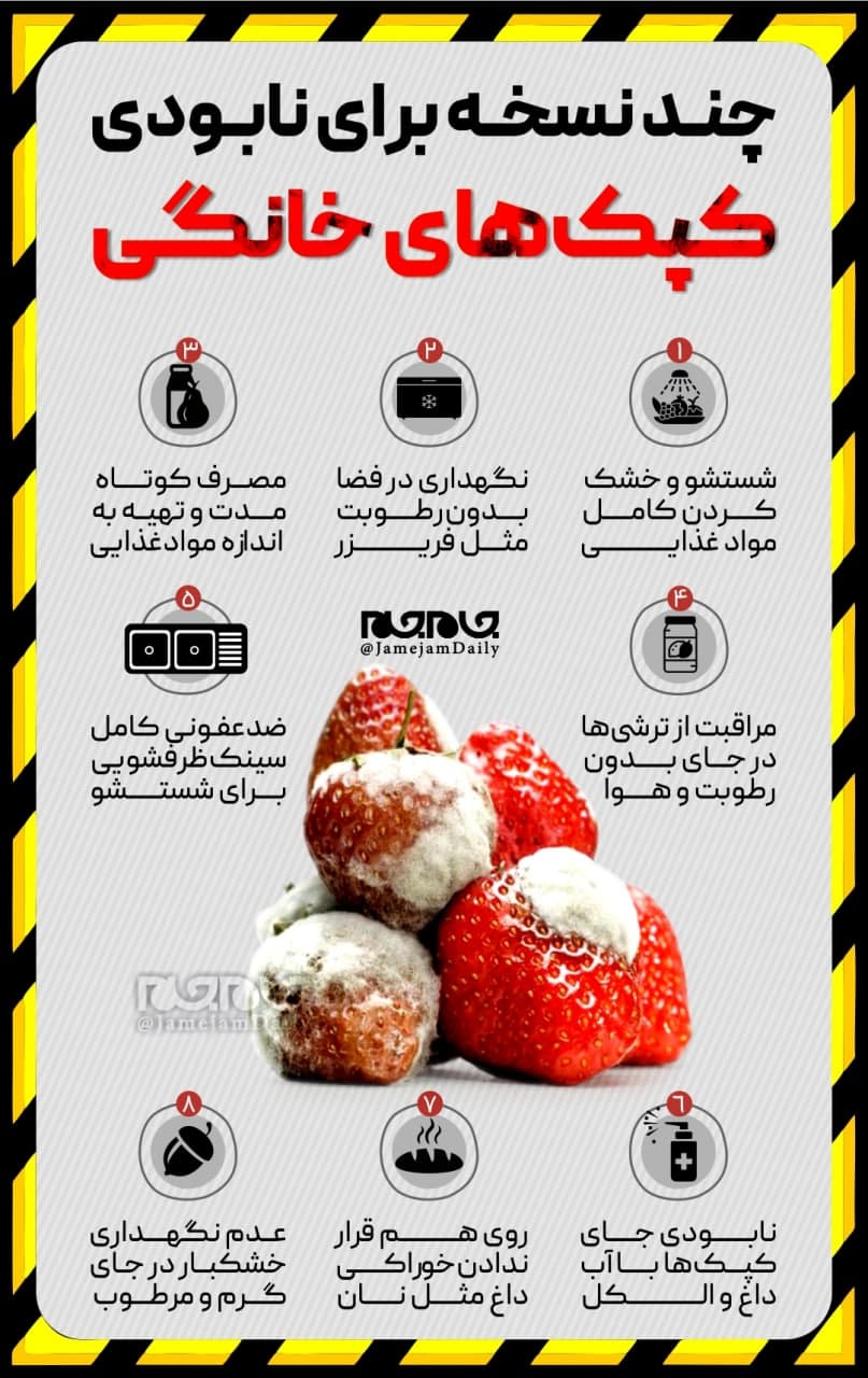چگونه میتوان کپکهای خانگی را از بین برد؟ +اینفوگرافیک چگونه میتوان کپکهای خانگی را از بین برد؟ +اینفوگرافیک