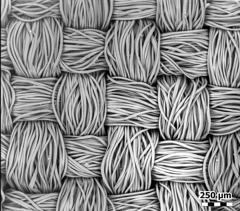 لایههای ماسک از نمای نزدیک چگونه به نظر میرسند؟ +عکس لایههای ماسک از نمای نزدیک چگونه به نظر میرسند؟ +عکس