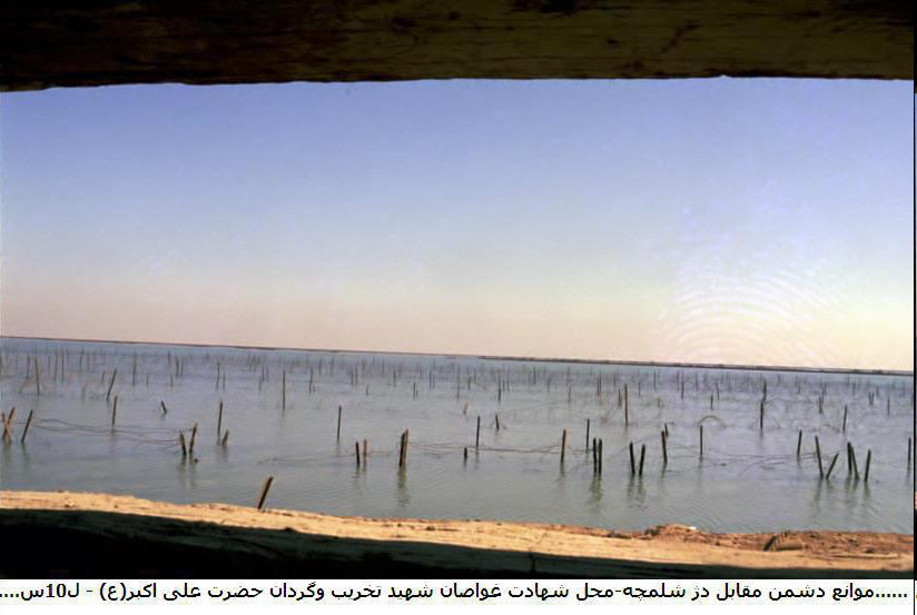 سیدی که جای من رفت و شهید شد +تصاویر
