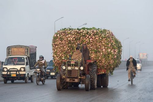 گزارش تصویری گزارش تصویری