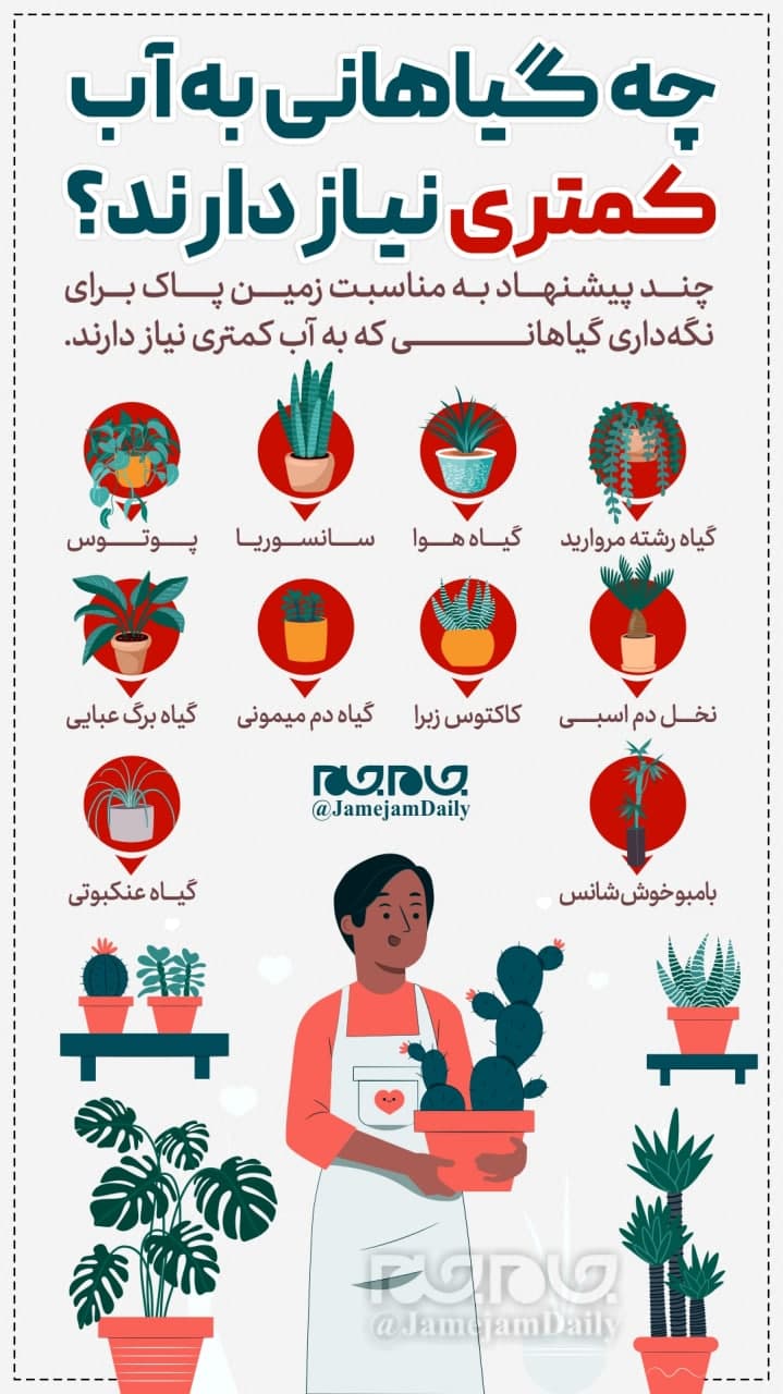 گیاهانی که برای رشد به آب کم نیاز دارند +اینفوگرافیک گیاهانی که برای رشد به آب کم نیاز دارند +اینفوگرافیک