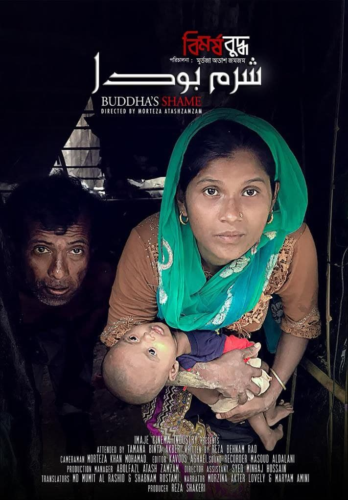 آخرین اخبار سینما در روزی که گذشت آخرین اخبار سینما در روزی که گذشت