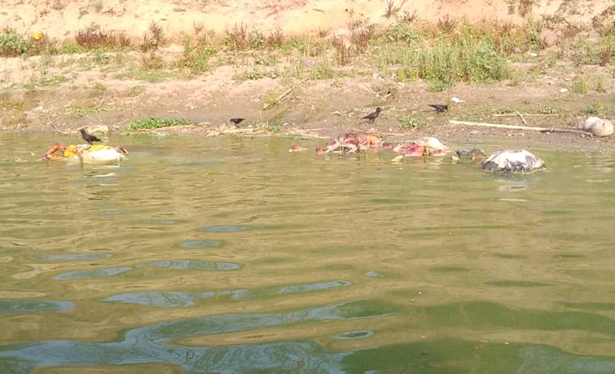 کشف جسد‌های بیشتر در رودخانه گنگ هند