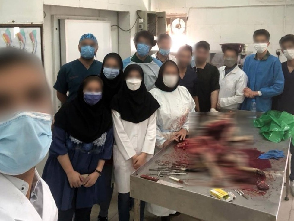 سگی که در کلاس تشریح دانشگاه شوشتر زجرکش شد