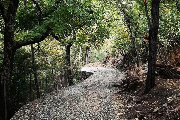 پیشنهادات تهران‌گردی برای تابستان کرونایی