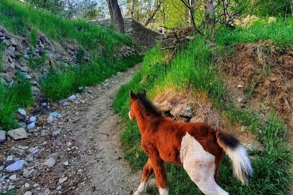 پیشنهادات تهران‌گردی برای تابستان کرونایی