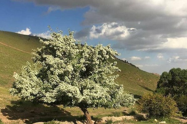 پیشنهادات تهران‌گردی برای تابستان کرونایی