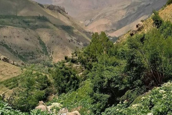 پیشنهادات تهران‌گردی برای تابستان کرونایی