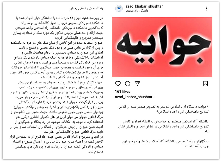 مرادی مرادی