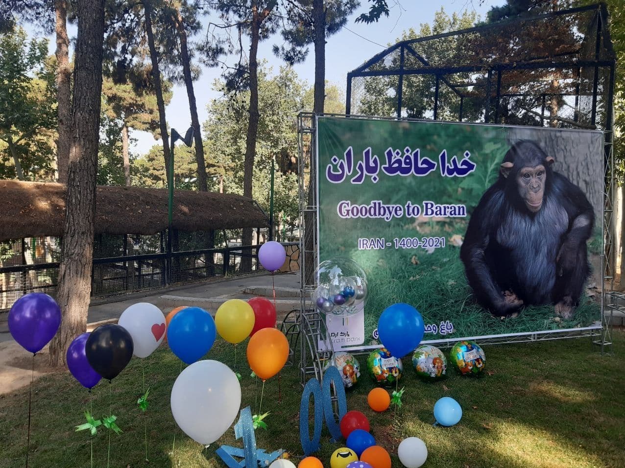 خداحافظی «باران» با باغ وحش ارم خداحافظی «باران» با باغ وحش ارم