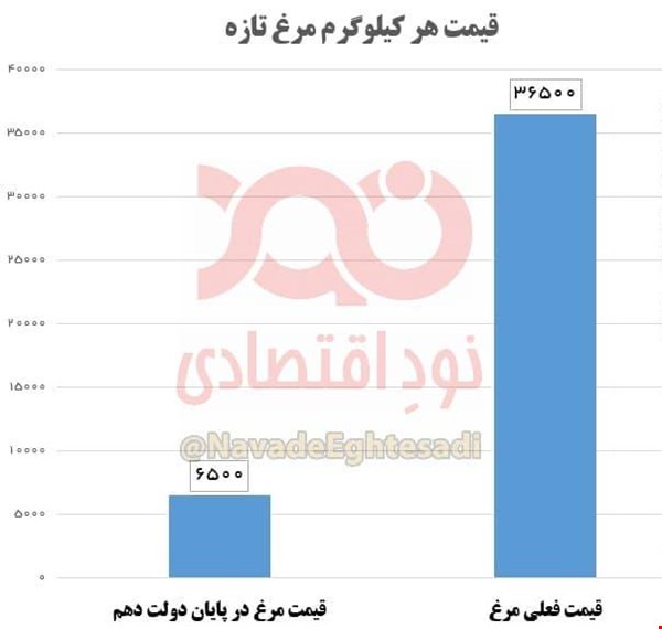 افزایش ۳۰ هزاری مرغ طی ۸ سال افزایش ۳۰ هزاری مرغ طی ۸ سال
