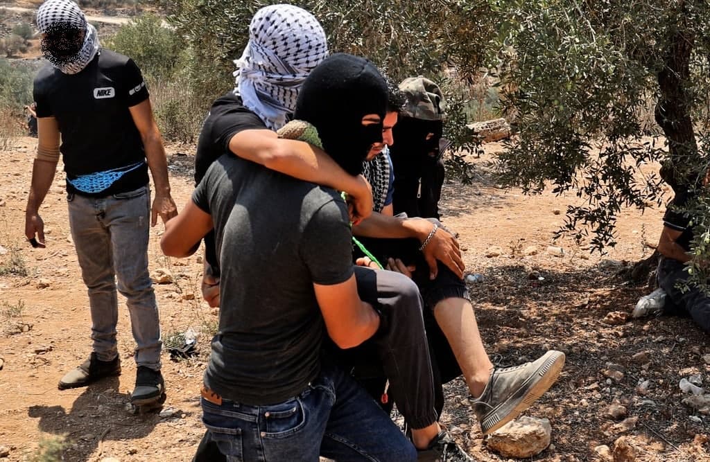 خشونت نظامیان صهیونیست علیه فلسطینیان/ ۴۳۵ نفر مجروح شدند خشونت نظامیان صهیونیست علیه فلسطینیان/ ۴۳۵ نفر مجروح شدند