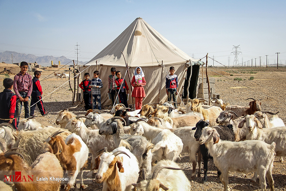 عدم توزیع برق در نقاط روستایی برای رفع کمبودها، عین نامردی و ضد عدالت است