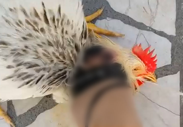 ۱