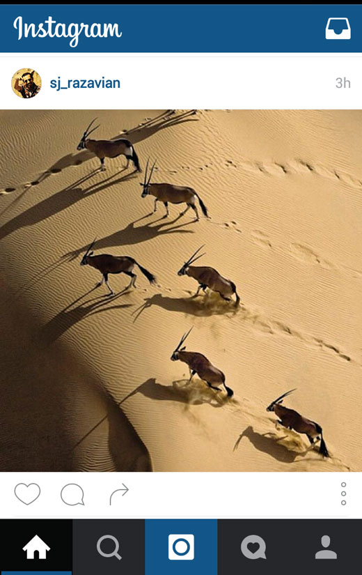+ تصاویر + تصاویر