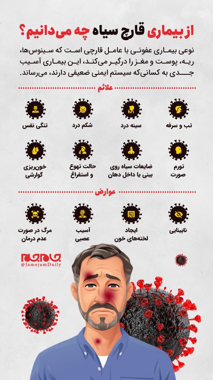 از بیماری قارچ سیاه چه میدانیم؟ از بیماری قارچ سیاه چه میدانیم؟