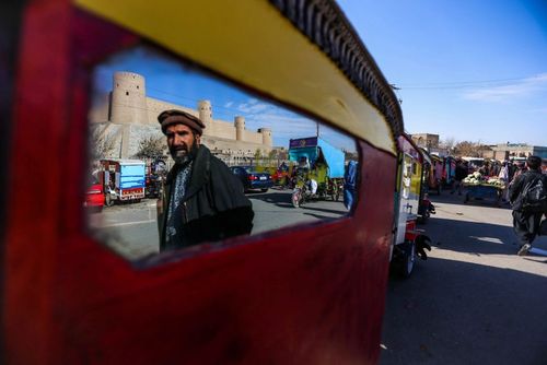 از تصاویر یک وال مرده 15 متری تا تصویر از نزدیک یک عقرب