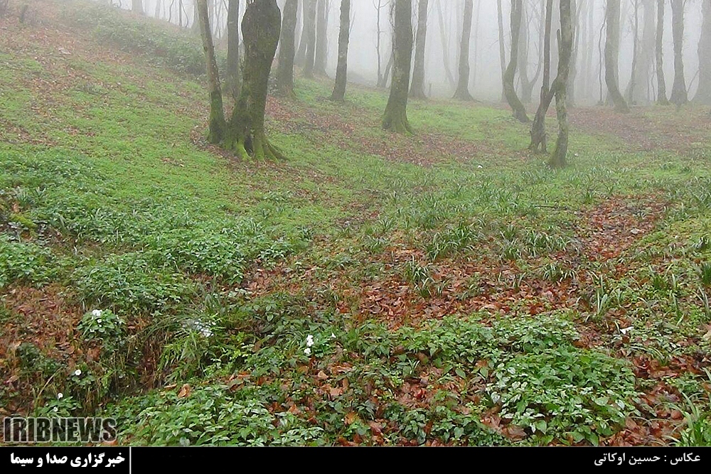 بسته عکس بسته عکس