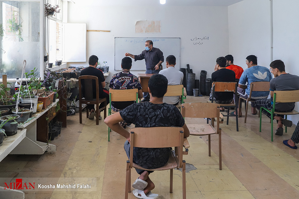دلنشین ترین زنگ زندگی در مجتمع آموزشی کانون اصلاح و تربیت نواخته شد/ گذر از ظلمت و گام نهادن مددجویان در مسیر علم و دانش