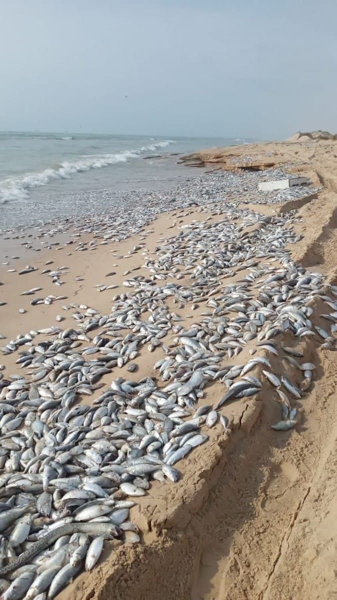 وضعیت ساحل چابهار بعد از طوفان حاره‌ای شاهین