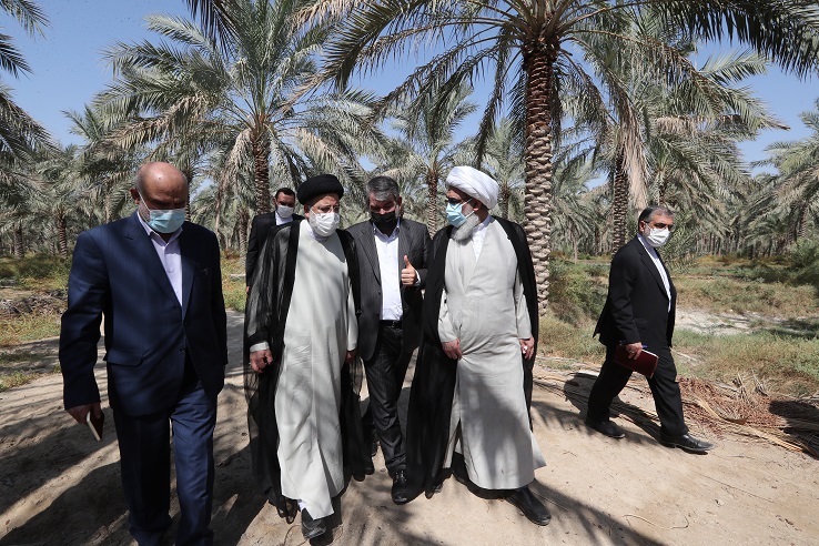 دیدار و گفتگوی رئیس جمهور با نخلداران منطقه تنگستان امام جمعه بوشهر: سفر آیتالله رئیسی به بوشهر در تمامی عرصهها کارآمد بود/ تخصیص بیسابقه اعتبارات بنیادین در استان بوشهر