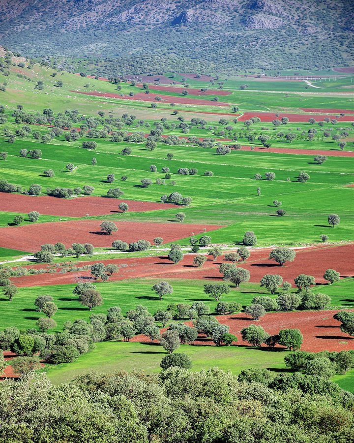 طبیعت سبز لرستان طبیعت سبز لرستان
