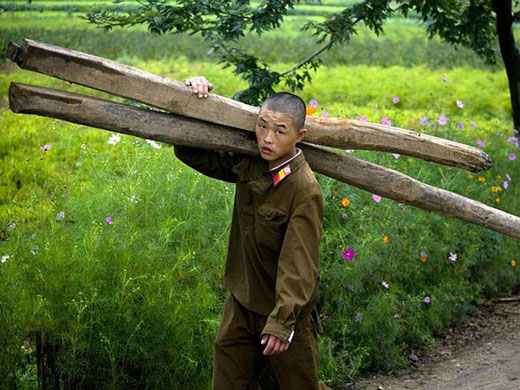 عکس‌هایی که یک عکاس را بیکار کرد!