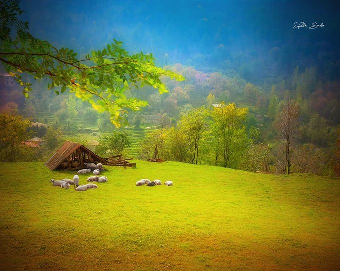 قسمتی از طبیعت ماسال