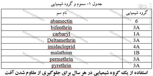 تهاجم کنه ها به بزرگترین انجیرستان جهان + تصاویر تهاجم کنه ها به بزرگترین انجیرستان جهان + تصاویر