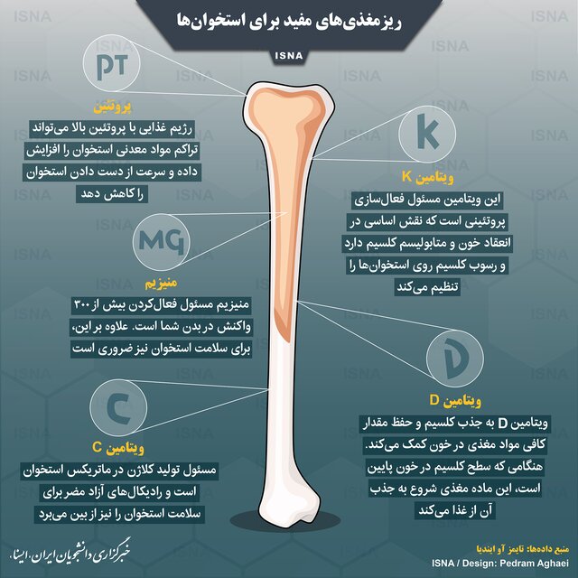 ریزمغذیهای مفید برای استخوانها ریزمغذیهای مفید برای استخوانها