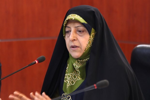 امکان سرمایه‌گذاری فرانسوی‌ها برای تولید برق از زباله در ایران