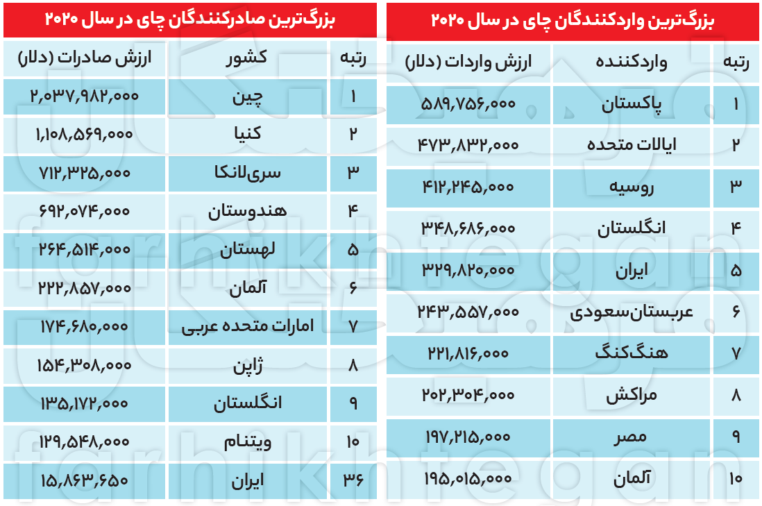 بلایی که بر سر چای ایرانی آمد؛ از تبدیل ۴۰ درصد از باغ‌های چای به ویلا تا تامین ۷۵ درصد از چای مصرفی با واردات!
