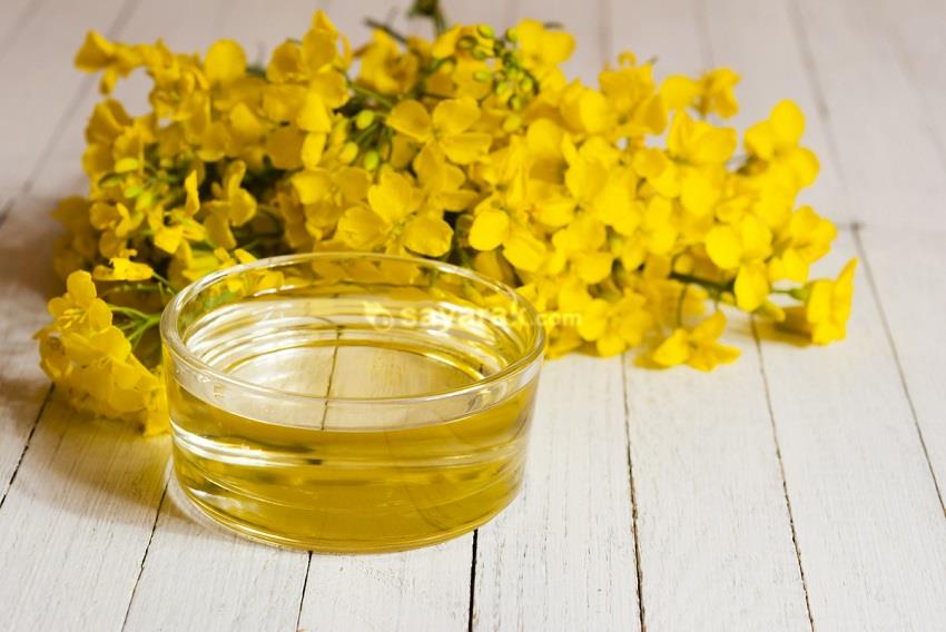 چند نکته ضروری در زمان مصرف روغن گل مغربی چند نکته ضروری در زمان مصرف روغن گل مغربی