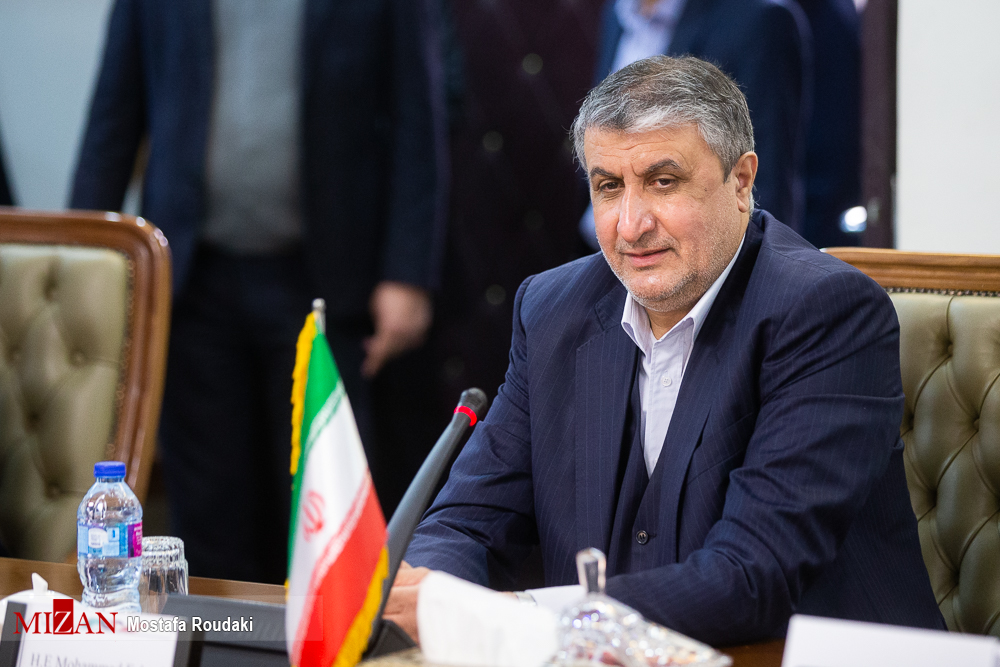گروسی با رئیس سازمان انرژی اتمی دیدار کرد + تصاویر
