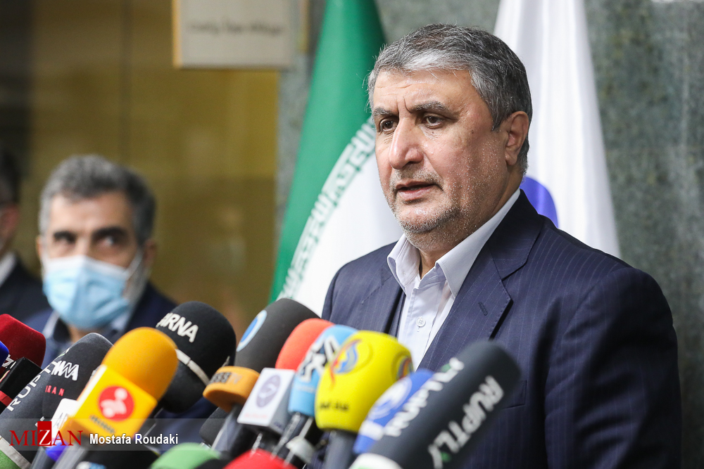 گروسی با رئیس سازمان انرژی اتمی دیدار کرد + تصاویر