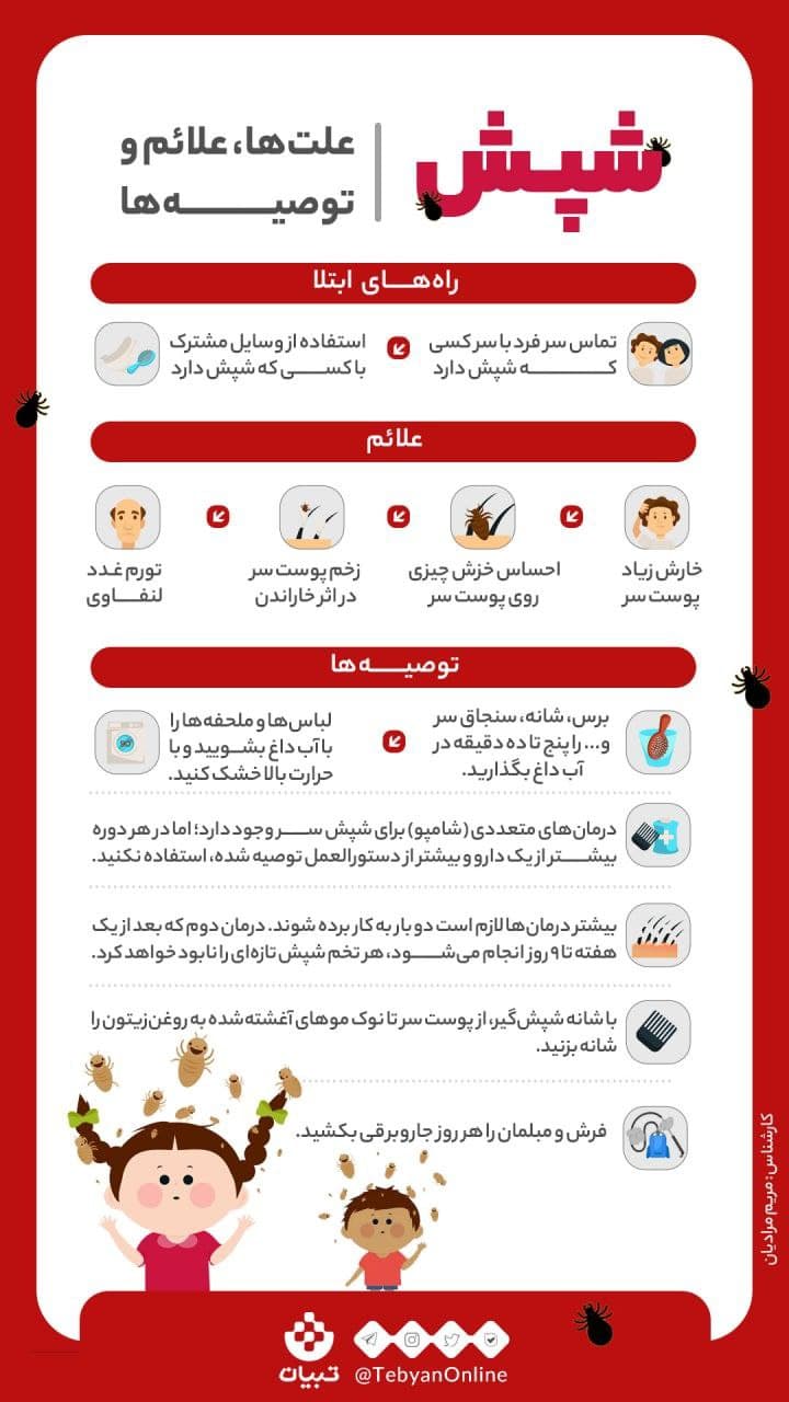 شپش سر را چگونه درمان کنیم؟ شپش سر را چگونه درمان کنیم؟