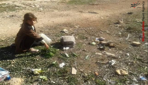 محاصره شدگان در فلوجه علف می خورند + عکس