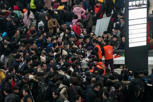 از اژدهای 50 متری ساخته شده از کاسه و بشقاب تا نزاع یک بوفالو با فیل