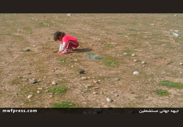 شعار برفی هواداران تراکتور علیه قلعهنویی+عکس/واردات ۷۰۰ پورشه با اجاره کارت بازرگانی یک زن مرزنشین/جابجایی معلولان ذهنی بیمار با وانت و... از مهم ترین اخبار برگزیده فضای مجازی امروز است. شعار برفی هواداران تراکتور علیه قلعهنویی+عکس/واردات ۷۰۰ پورشه با اجاره کارت بازرگانی یک زن مرزنشین/جابجایی معلولان ذهنی بیمار با وانت و... از مهم ترین اخبار برگزیده فضای مجازی امروز است.