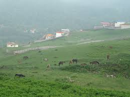 نگاهی به نگاهی به