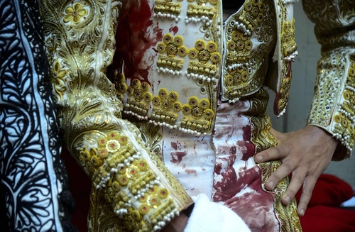 از گارد امنیتی زنانه دانشگاه باچا خان تا تلاش یک فیل مادر برای بیرون کشیدن نوزادش +تصاویر
